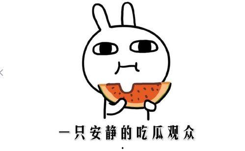 网络吃瓜是什么意思,揭秘虚拟世界中的围观文化